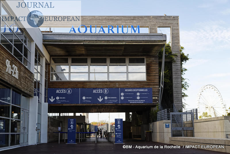Aquarium de Veronique